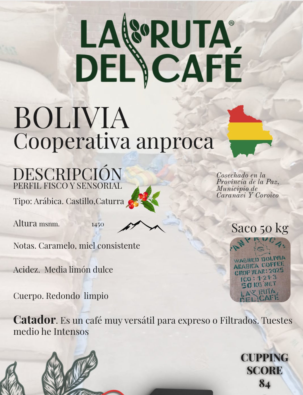 Café Verde ARABICO TAZA 84 COSECHA 2026