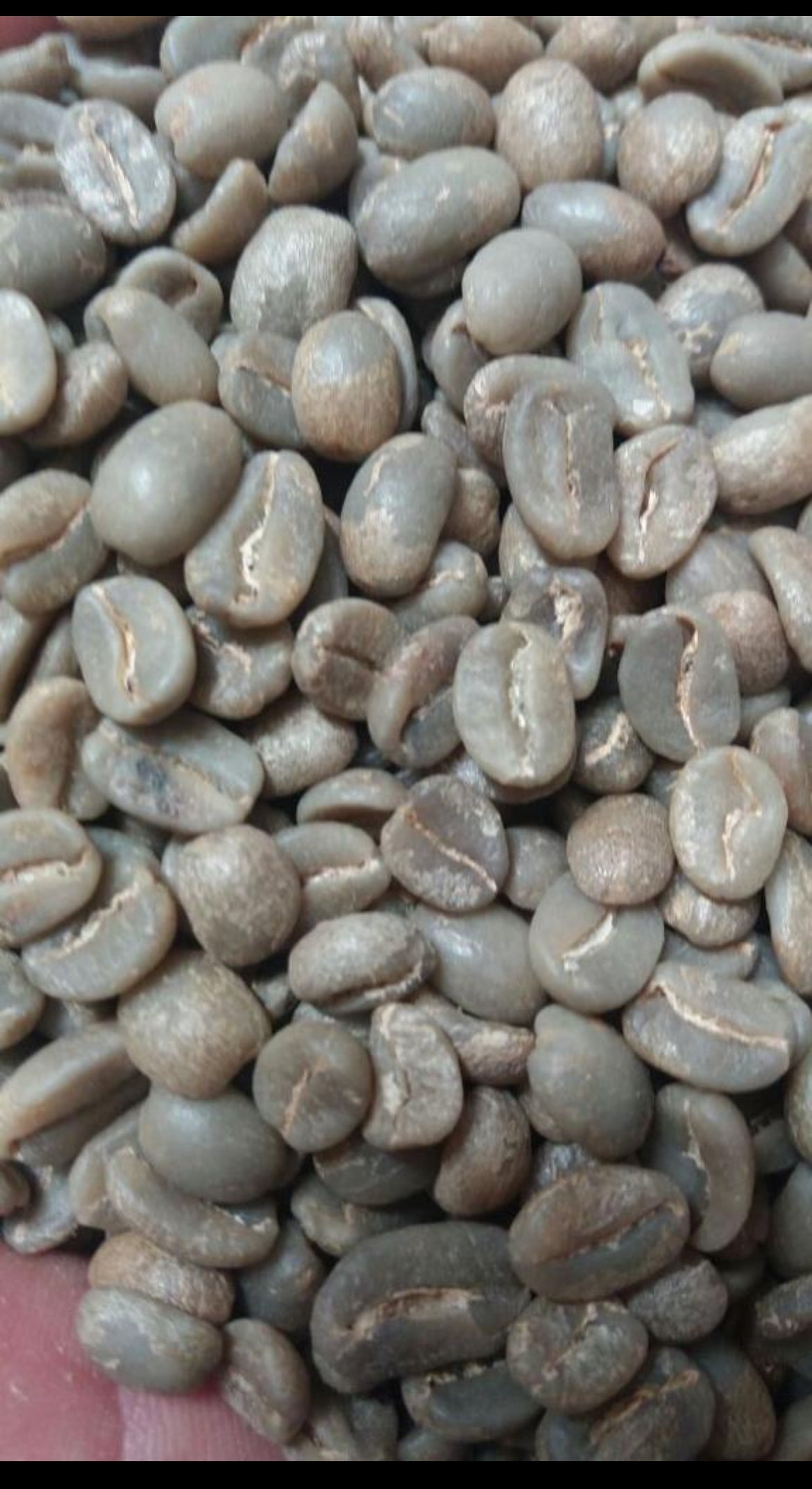 cafe verde colombia HUILA