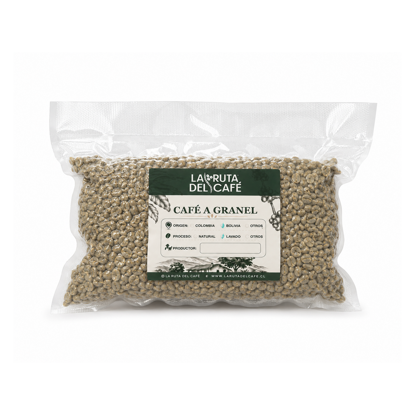 CAFE VERDE ARABICO TAZA 84 - COSECHA 2026