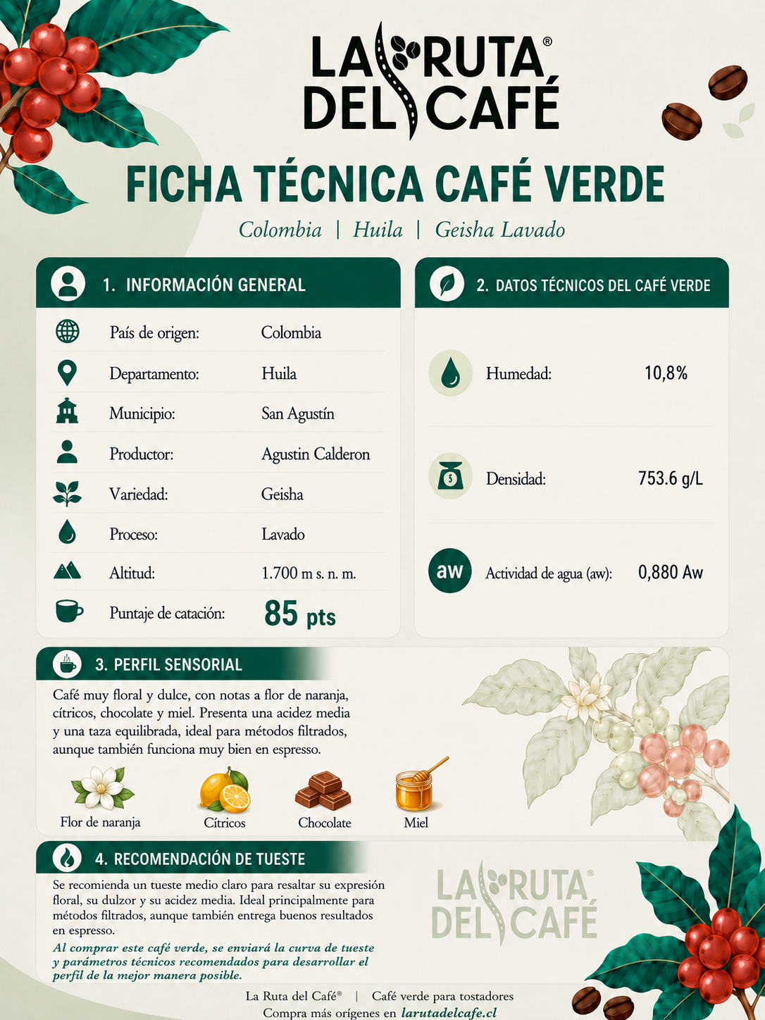 CAFE VERDE MICROLOTE - GEISHA - LAVADO