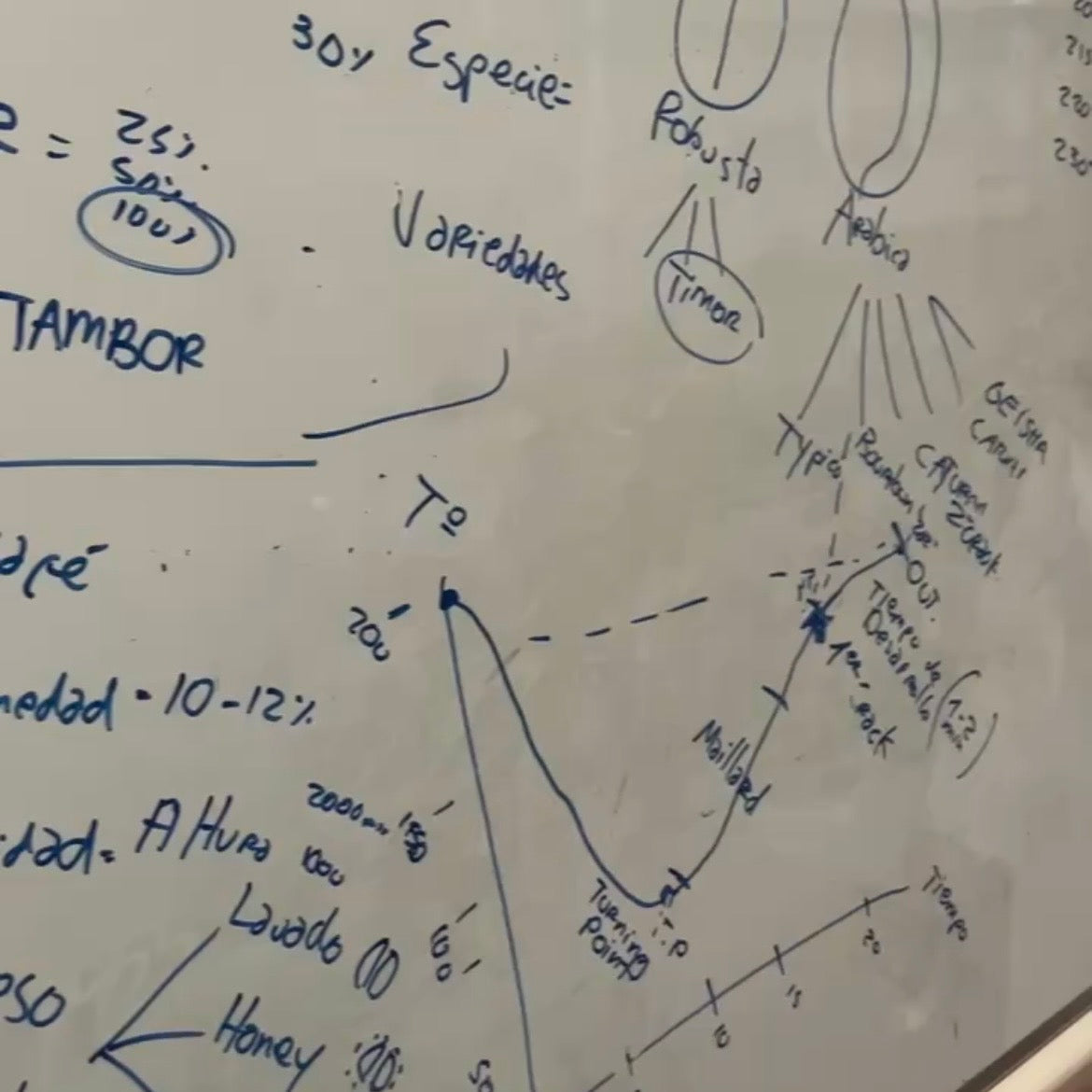Curso de Tostado de Café