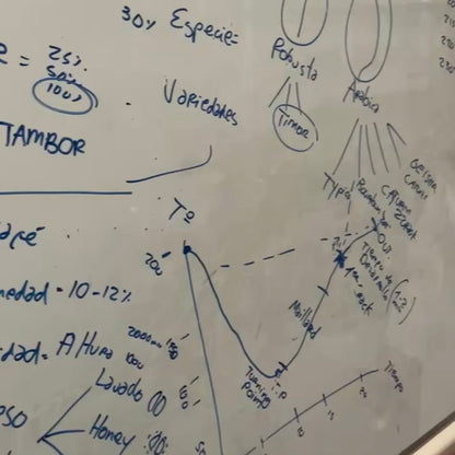 Curso de Tostado de Café