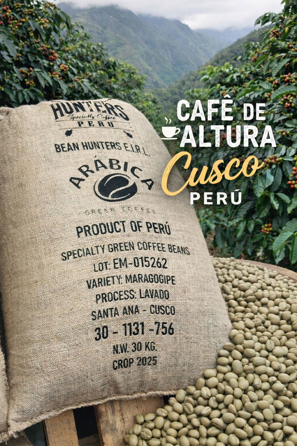 CAFE VERDE MICROLOTE
