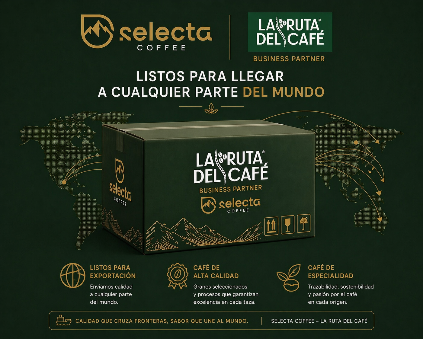 CAFE VERDE MICROLOTE