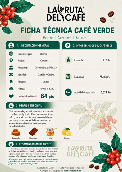 CAFE VERDE ARABICO TAZA 84 - COSECHA 2026