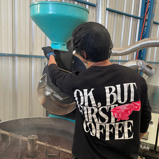 Curso de Tostado de Café