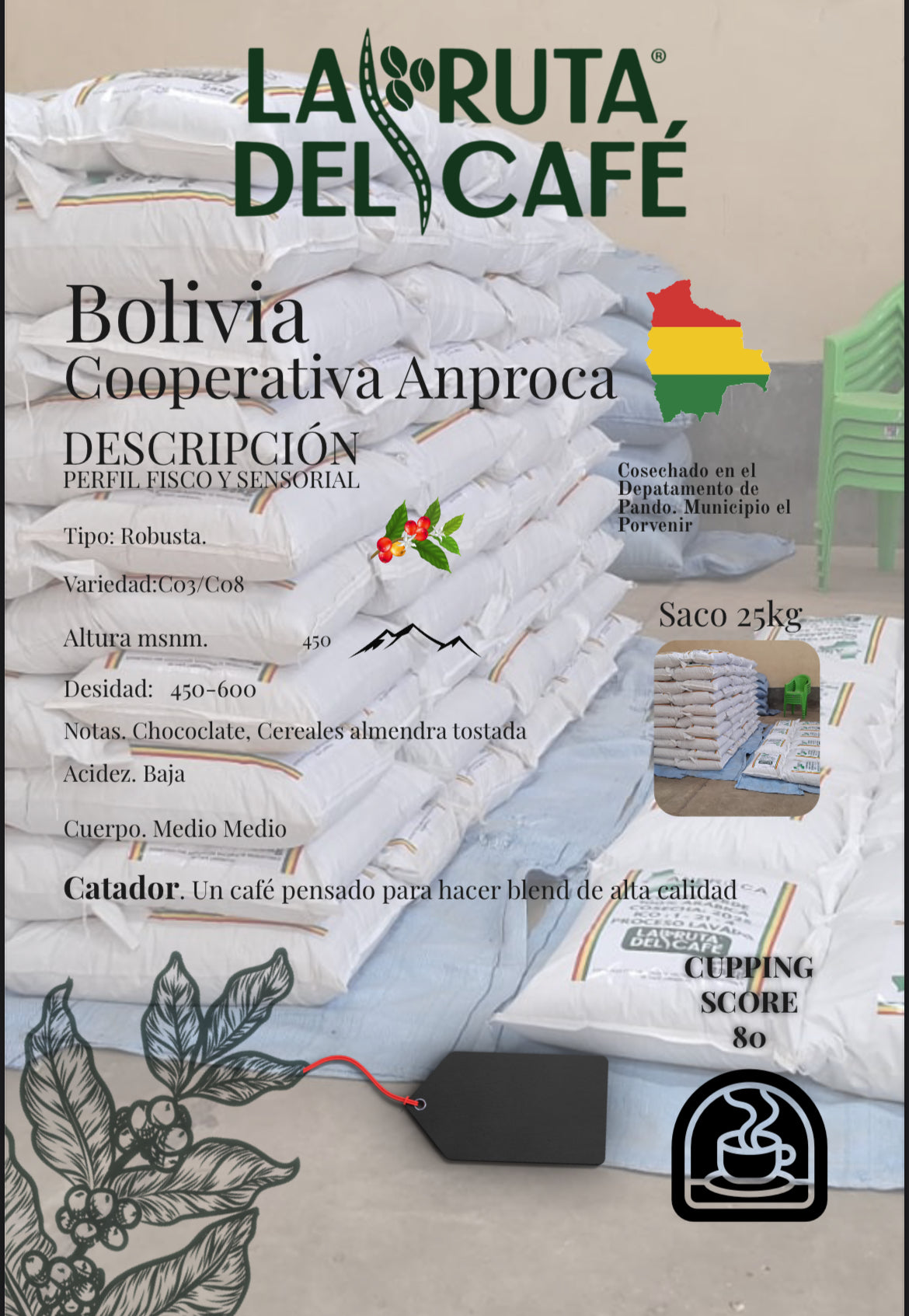 CAFE VERDE  ROBUSTA