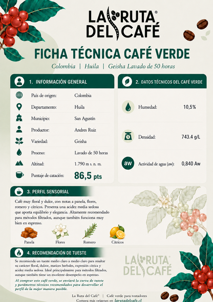 GEISHA - CAFE VERDE MICROLOTE - LAVADO 50 HORAS